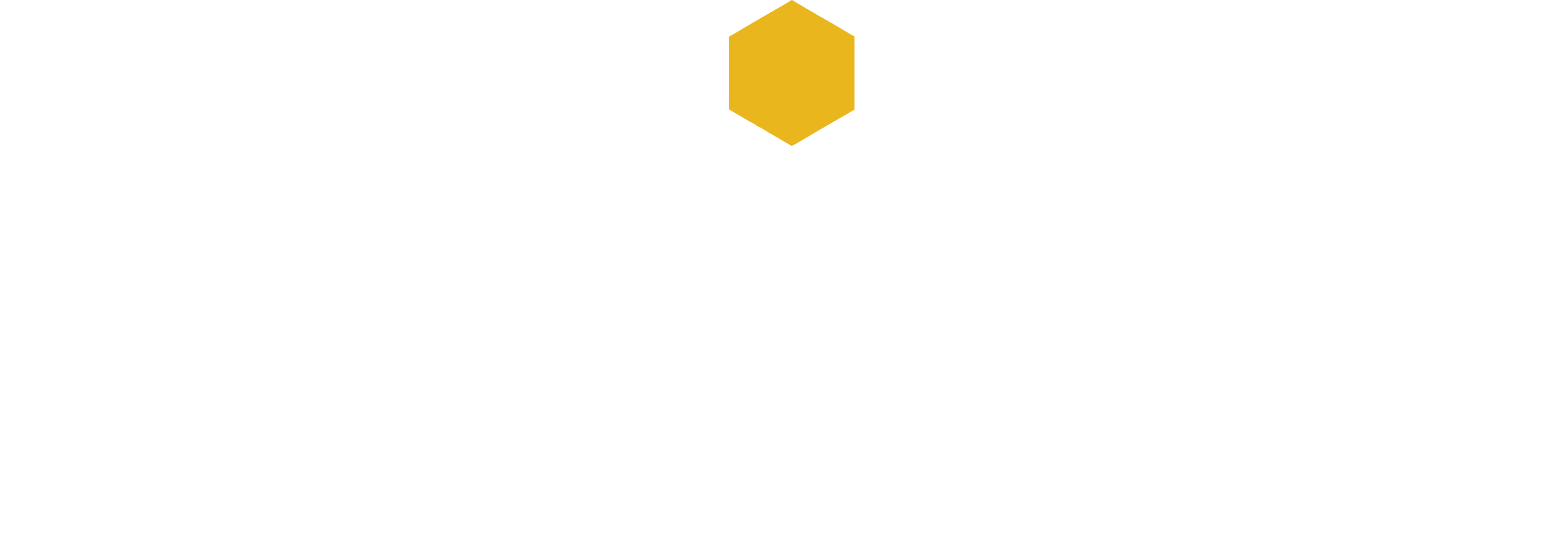 Arsjad Yusuf and Partners